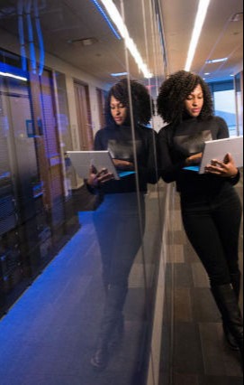 Web Application Developers